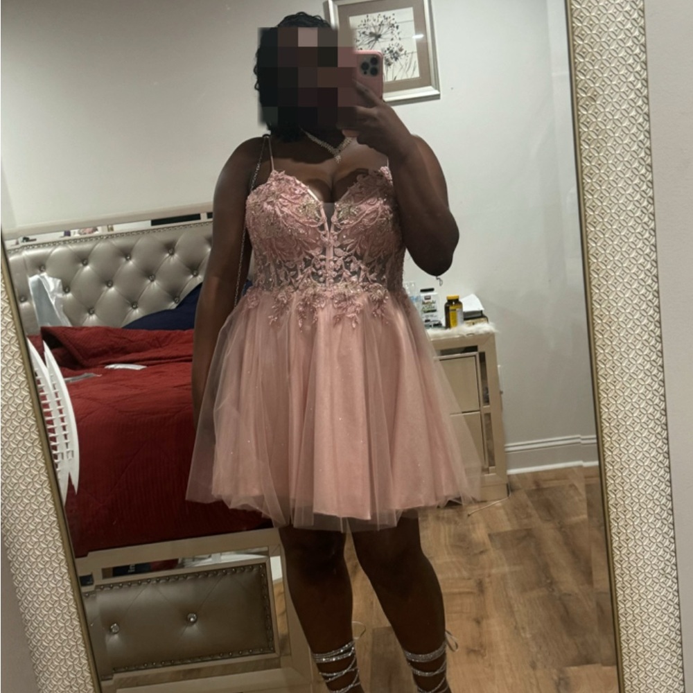 A Classy Chic Boutique Blush Pink Tulle Dress(only worn once)